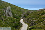Near the monastery Mirtidia (Mirtidiotissa) | Kythira | Photo 26 - Photo JustGreece.com