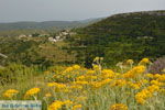 JustGreece.com Mitata Kythira | Ionian Islands | Greece | Greece  Photo 17 - Foto van JustGreece.com