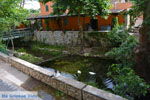 JustGreece.com Mylopotamos Kythira | Ionian Islands | Greece | Greece  Photo 73 - Foto van JustGreece.com