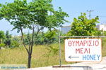 JustGreece.com Kalokerines near Karvounades | Kythira Photo 13 - Foto van JustGreece.com