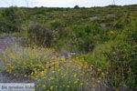 JustGreece.com Paliochora Kythira | Ionian Islands | Greece | Greece  Photo 29 - Foto van JustGreece.com