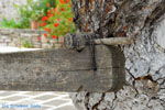 JustGreece.com Monastery Osios Theodoros Potamos Kythira | Greece Photo 20 - Foto van JustGreece.com
