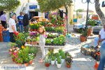JustGreece.com Markt Potamos Kythira | Ionian Islands | Greece | Greece  Photo 4 - Foto van JustGreece.com