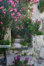 JustGreece.com Potamos Kythira | Ionian Islands | Greece | Greece  Photo 9 - Foto van JustGreece.com