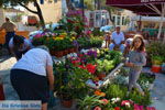 JustGreece.com Markt Potamos Kythira | Ionian Islands | Greece | Greece  Photo 24 - Foto van JustGreece.com