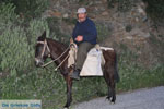 JustGreece.com Man on paardje near Batsi | Island of Andros | Greece  | Photo 4 - Foto van JustGreece.com