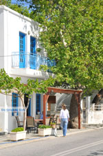 Andros town (Chora) | Greece  | Photo 013 - Photo JustGreece.com