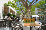 Andros town (Chora) | Greece  | Photo 077 - Photo JustGreece.com