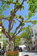 Andros town (Chora) | Greece  | Photo 078 - Photo JustGreece.com