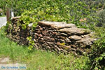 Menites | Island of Andros | Greece  Photo 001 - Photo JustGreece.com