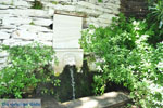 Menites | Island of Andros | Greece  Photo 004 - Photo JustGreece.com