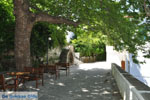 Menites | Island of Andros | Greece  Photo 013 - Photo JustGreece.com