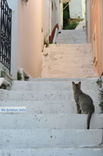 JustGreece.com Stenies | Island of Andros | Greece  Photo 7 - Foto van JustGreece.com