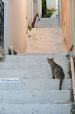 JustGreece.com Stenies | Island of Andros | Greece  Photo 8 - Foto van JustGreece.com