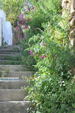 JustGreece.com Stenies | Island of Andros | Greece  Photo 20 - Foto van JustGreece.com