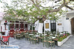 Andros town (Chora) | Greece  | Photo 134 - Photo JustGreece.com