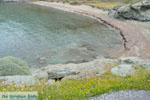 Chalkolimnionas | Island of Andros | Greece  Photo 4 - Photo JustGreece.com