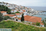 JustGreece.com Batsi | Island of Andros | Greece  | Photo 11 - Foto van JustGreece.com