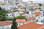 JustGreece.com Batsi | Island of Andros | Greece  | Photo 17 - Foto van JustGreece.com