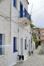 JustGreece.com Batsi | Island of Andros | Greece  | Photo 42 - Foto van JustGreece.com