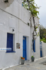 JustGreece.com Batsi | Island of Andros | Greece  | Photo 44 - Foto van JustGreece.com
