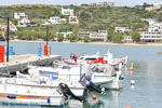 JustGreece.com Batsi | Island of Andros | Greece  | Photo 58 - Foto van JustGreece.com