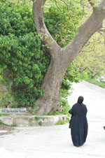 JustGreece.com Panachrantou monastery | Island of Andros | Greece  | Photo 4 - Foto van JustGreece.com