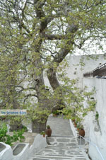 JustGreece.com Panachrantou monastery | Island of Andros | Greece  | Photo 9 - Foto van JustGreece.com