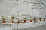 Panachrantou monastery | Island of Andros | Greece  | Photo 22 - Photo JustGreece.com