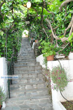 Myrtho apartments on the island of Andros | Greece  Photo 4 - Photo JustGreece.com