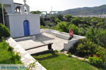 Myrtho apartments on the island of Andros | Greece  Photo 13 - Photo JustGreece.com