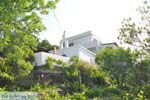 Myrtho apartments on the island of Andros | Greece  Photo 14 - Photo JustGreece.com