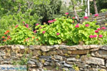 Myrtho apartments on the island of Andros | Greece  Photo 15 - Photo JustGreece.com