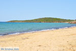 JustGreece.com beach Kypri (Golden Beach) near Batsi | Island of Andros | Greece  Photo 001 - Foto van JustGreece.com