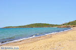 JustGreece.com beach Kypri (Golden Beach) near Batsi | Island of Andros | Greece  Photo 003 - Foto van JustGreece.com