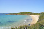 JustGreece.com beach Kypri (Golden Beach) near Batsi | Island of Andros | Greece  Photo 006 - Foto van JustGreece.com