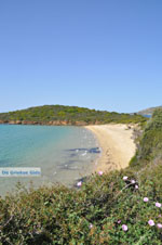 JustGreece.com beach Kypri (Golden Beach) near Batsi | Island of Andros | Greece  Photo 008 - Foto van JustGreece.com