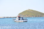 The harbour of Gavrio | Island of Andros | Greece  | Photo 3 - Photo JustGreece.com