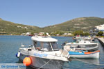 JustGreece.com The harbour of Gavrio | Island of Andros | Greece  | Photo 7 - Foto van JustGreece.com