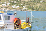 JustGreece.com The harbour of Gavrio | Island of Andros | Greece  | Photo 8 - Foto van JustGreece.com
