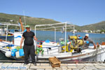 The harbour of Gavrio | Island of Andros | Greece  | Photo 10 - Photo JustGreece.com