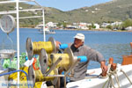 JustGreece.com The harbour of Gavrio | Island of Andros | Greece  | Photo 11 - Foto van JustGreece.com