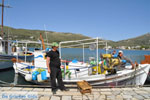 JustGreece.com The harbour of Gavrio | Island of Andros | Greece  | Photo 12 - Foto van JustGreece.com