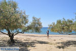 JustGreece.com beach Fellos near Gavrio | Island of Andros | Greece  | Photo 1 - Foto van JustGreece.com