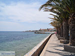 JustGreece.com The verzorgde Vrondados - Island of Chios - Foto van JustGreece.com