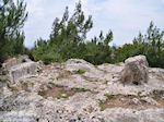 Homerus stone Daskalopetra - Island of Chios - Photo JustGreece.com