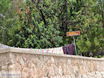 JustGreece.com PanoramaPhoto Chios town Photo 2 - Island of Chios - Foto van JustGreece.com