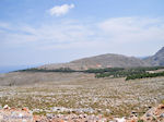 Kale nature with af and toe bossen Photo 2 - Island of Chios - Photo JustGreece.com