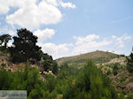 Tussen Chios town and Volissos - Island of Chios - Photo JustGreece.com