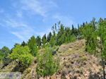 Aan the west coast  - Island of Chios - Photo JustGreece.com